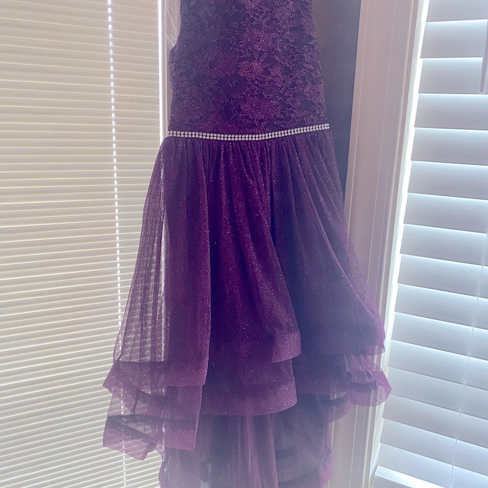 Rich purple girls dress